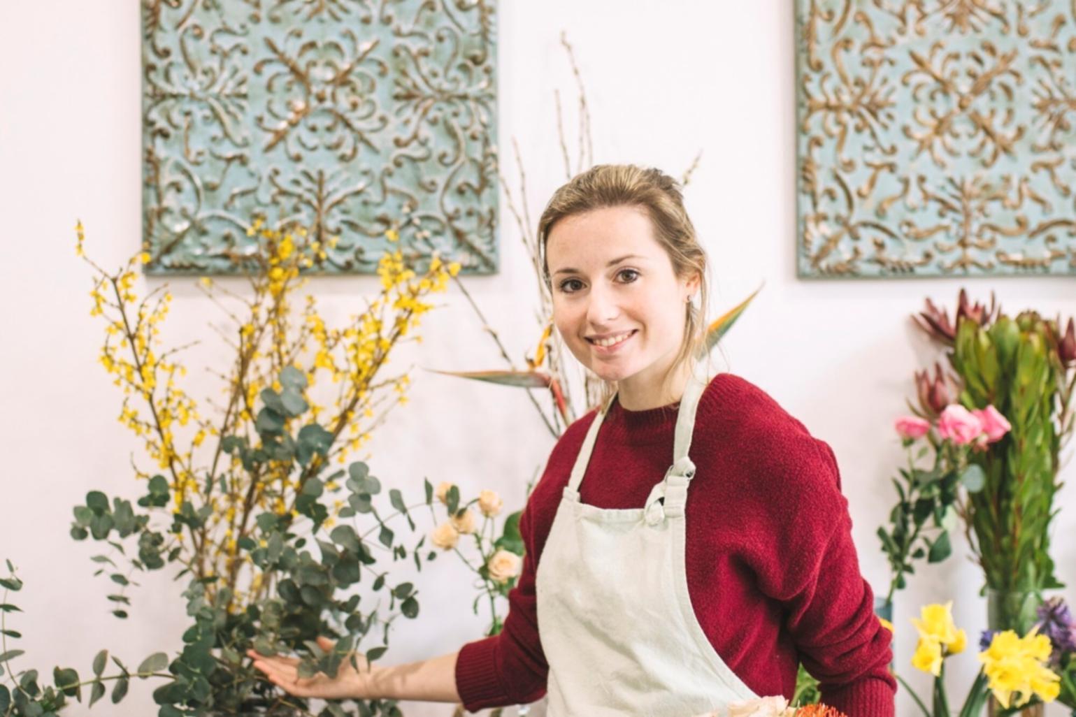 Selección estratégica de plantas según espacio